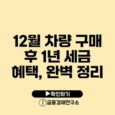 12월 차량 구매 후 1년 세금 혜택, 완벽 정리