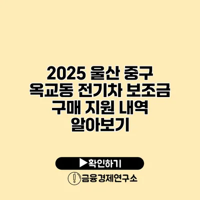 2025 울산 중구 옥교동 전기차 보조금 구매 지원 내역 알아보기