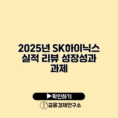 2025년 SK하이닉스 실적 리뷰 성장성과 과제