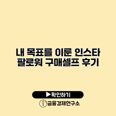 내 목표를 이룬 인스타 팔로워 구매셀프 후기