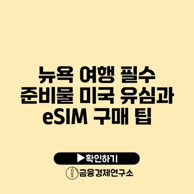 뉴욕 여행 필수 준비물 미국 유심과 eSIM 구매 팁