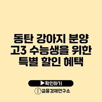 동탄 강아지 분양 고3 수능생을 위한 특별 할인 혜택