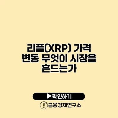 리플(XRP) 가격 변동 무엇이 시장을 흔드는가?