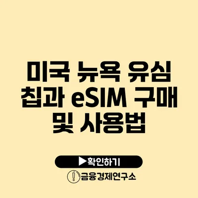 미국 뉴욕 유심 칩과 eSIM 구매 및 사용법