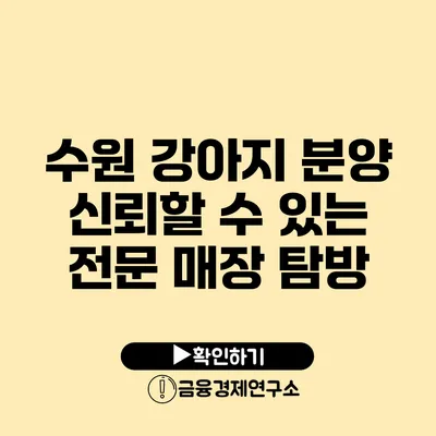 수원 강아지 분양 신뢰할 수 있는 전문 매장 탐방