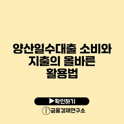 양산일수대출 소비와 지출의 올바른 활용법