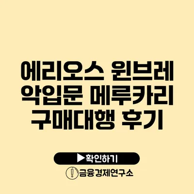에리오스 윈브레 악입문 메루카리 구매대행 후기