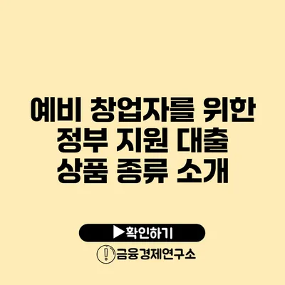 예비 창업자를 위한 정부 지원 대출 상품 종류 소개