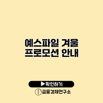 예스파일 겨울 프로모션 안내