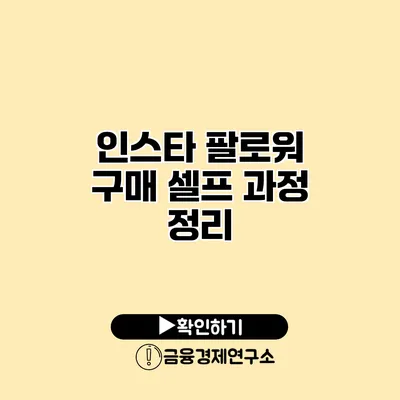 인스타 팔로워 구매 셀프 과정 정리