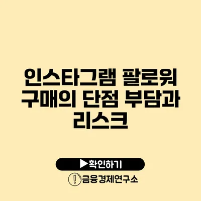 인스타그램 팔로워 구매의 단점 부담과 리스크