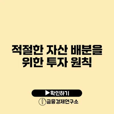 적절한 자산 배분을 위한 투자 원칙