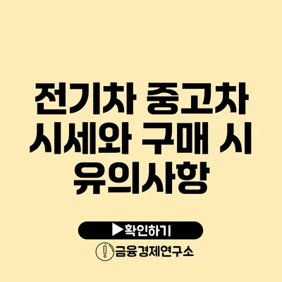 전기차 중고차 시세와 구매 시 유의사항