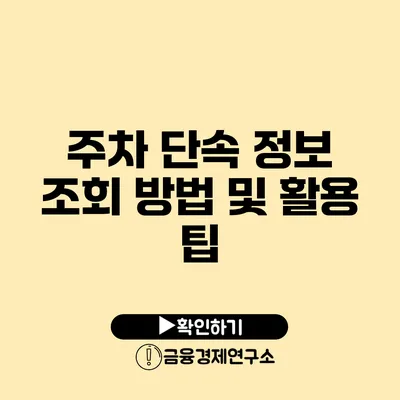 주차 단속 정보 조회 방법 및 활용 팁