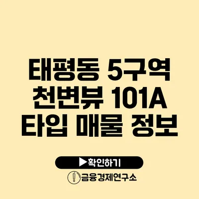 태평동 5구역 천변뷰 101A 타입 매물 정보