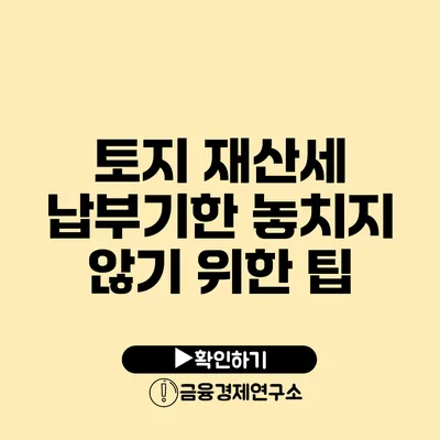 토지 재산세 납부기한 놓치지 않기 위한 팁