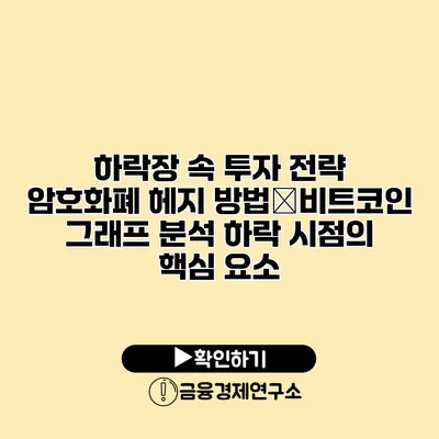 하락장 속 투자 전략 암호화폐 헤지 방법�비트코인 그래프 분석 하락 시점의 핵심 요소