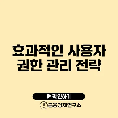 효과적인 사용자 권한 관리 전략