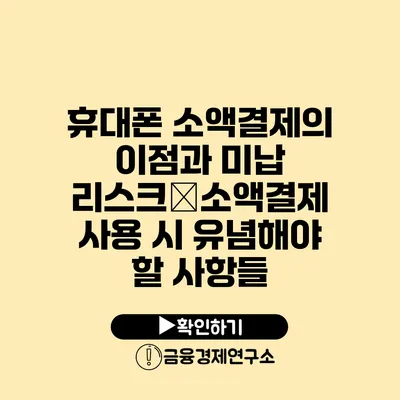 휴대폰 소액결제의 이점과 미납 리스크�소액결제 사용 시 유념해야 할 사항들