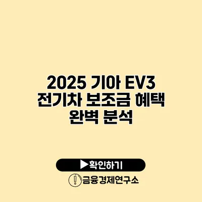 2025 기아 EV3 전기차 보조금 혜택 완벽 분석