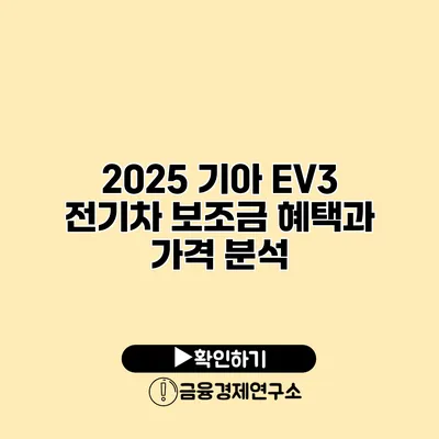 2025 기아 EV3 전기차 보조금 혜택과 가격 분석