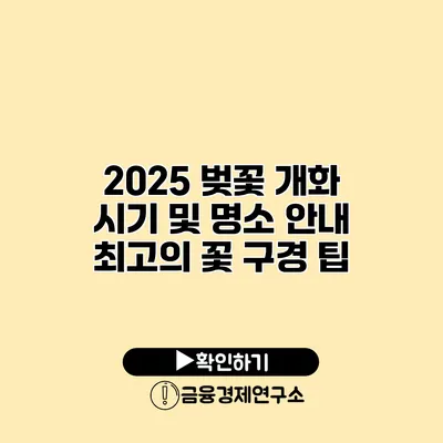 2025 벚꽃 개화 시기 및 명소 안내 최고의 꽃 구경 팁