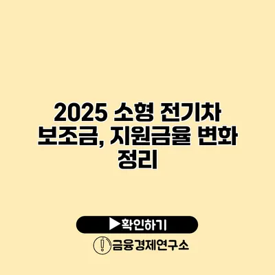 2025 소형 전기차 보조금, 지원금율 변화 정리