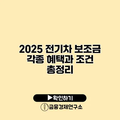 2025 전기차 보조금 각종 혜택과 조건 총정리