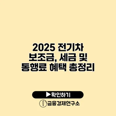 2025 전기차 보조금, 세금 및 통행료 혜택 총정리