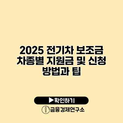 2025 전기차 보조금 차종별 지원금 및 신청 방법과 팁