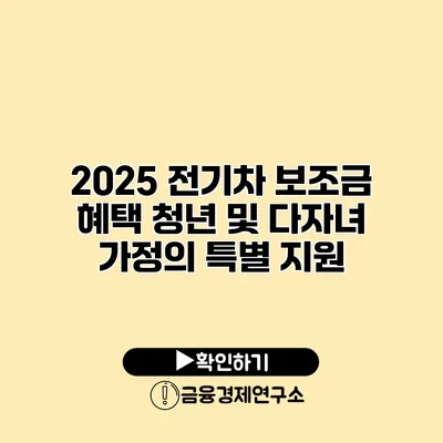 2025 전기차 보조금 혜택 청년 및 다자녀 가정의 특별 지원