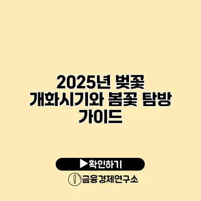 2025년 벚꽃 개화시기와 봄꽃 탐방 가이드