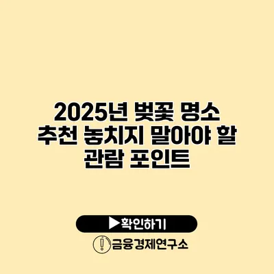 2025년 벚꽃 명소 추천 놓치지 말아야 할 관람 포인트