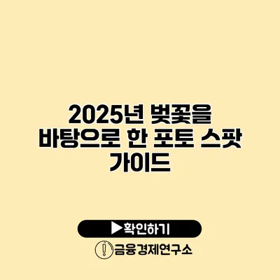 2025년 벚꽃을 바탕으로 한 포토 스팟 가이드