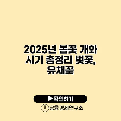 2025년 봄꽃 개화 시기 총정리 벚꽃, 유채꽃