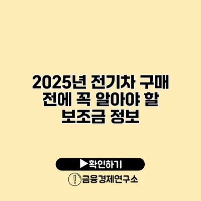 2025년 전기차 구매 전에 꼭 알아야 할 보조금 정보