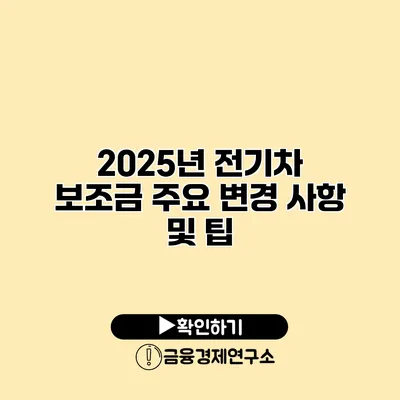 2025년 전기차 보조금 주요 변경 사항 및 팁