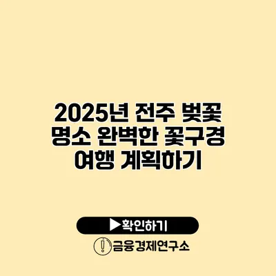 2025년 전주 벚꽃 명소 완벽한 꽃구경 여행 계획하기