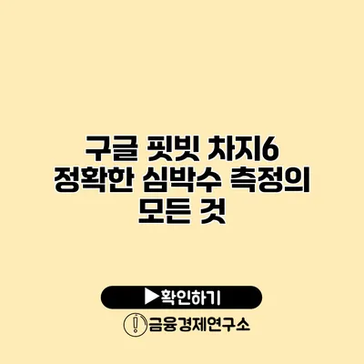 구글 핏빗 차지6 정확한 심박수 측정의 모든 것