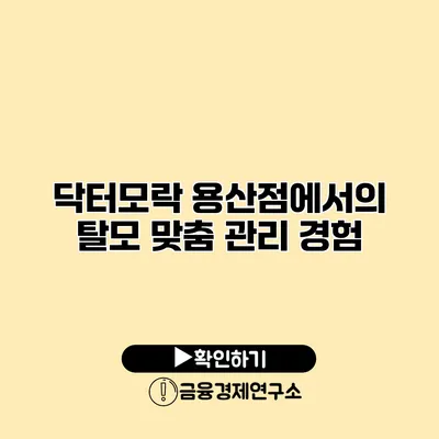 닥터모락 용산점에서의 탈모 맞춤 관리 경험