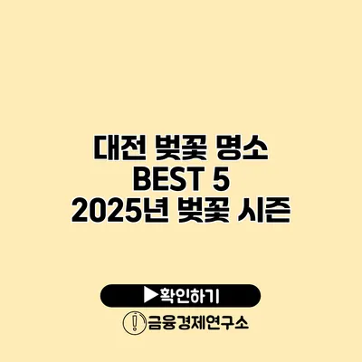 대전 벚꽃 명소 BEST 5 | 2025년 벚꽃 시즌