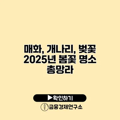 매화, 개나리, 벚꽃 2025년 봄꽃 명소 총망라