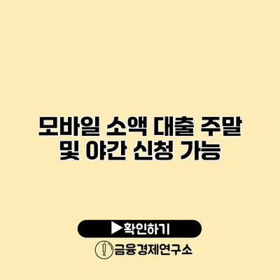 모바일 소액 대출 주말 및 야간 신청 가능