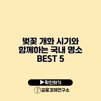 벚꽃 개화 시기와 함께하는 국내 명소 BEST 5
