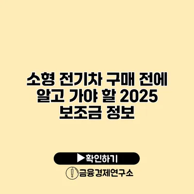 소형 전기차 구매 전에 알고 가야 할 2025 보조금 정보