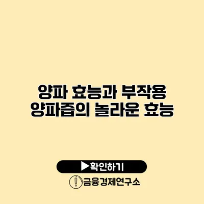 양파 효능과 부작용 양파즙의 놀라운 효능