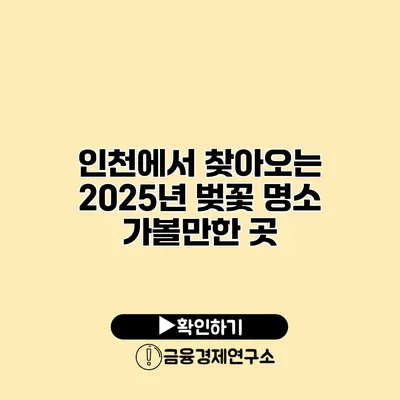인천에서 찾아오는 2025년 벚꽃 명소 가볼만한 곳