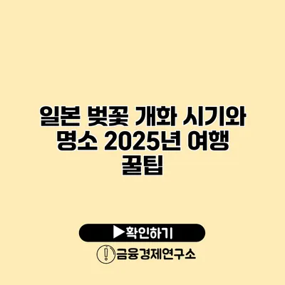 일본 벚꽃 개화 시기와 명소 2025년 여행 꿀팁