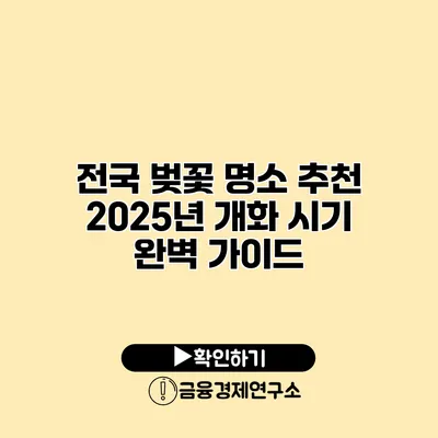 전국 벚꽃 명소 추천 2025년 개화 시기 완벽 가이드