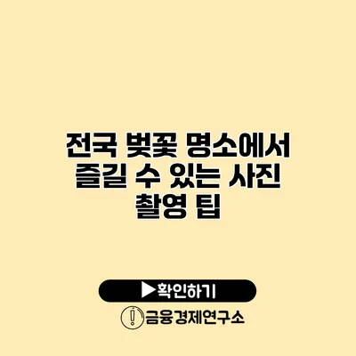 전국 벚꽃 명소에서 즐길 수 있는 사진 촬영 팁